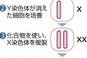 男性カップルが自らの子どもを持てる日が近づく？最新iPS細胞研究に注目！