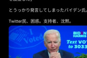 【悲報】バイデン、バカ息子のせいで落選確実www