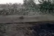 【動画】 インドに到達した「バッタの大群」あまりにも巨大化・・ 旅客機の運航に重大な支障、機体損傷の恐れ