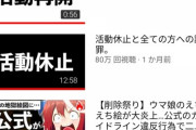【唖然】ゲーム炎上系YouTuberナカイドさん、活動休止から復帰するも大変なことになっていた…