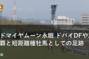 アドマイヤムーン永眠 ドバイDFやJC制覇と短距離種牡馬としての足跡
