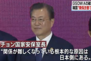 GSOMIA破棄をカードにするとアメに殴られるって事を全く学習していない　～　韓国 「軍事情報包括保護協定（GSOMIA）の再延長、難しくなった」