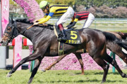 忘れな草賞の勝ち馬ステラリアは川田でオークスへ