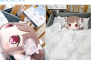 【迷惑】シャニシンさん、ベビー用品店の売り物でぬいぐるみを寝かせて遊んでしまう･･･