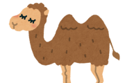 【GIf動画】ラクダさん、速すぎるｗｗｗｗｗｗｗｗｗｗ