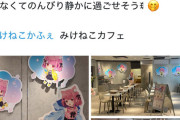 【悲報】みけねこカフェ、店内を撮影すると現行犯逮捕の方向で調整！！😭