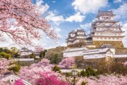 【大朝鮮】桜は「元々は中国のものだ！」、なぜ日本を代表する花になったのか＝中国