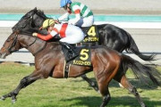 【競馬予想】[3]第73回朝日杯フューチュリティS(GⅠ) /2021