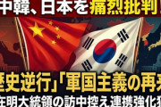 【速報】中国政府「韓国は歴史に対して責任ある態度を堅持すると信じる」韓国「・・・」