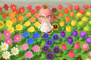 スイッチ『あつまれどうぶつの森』花を植えまくると通信エラーを起こすことが判明wwwwwwww