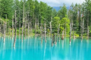 【画像】北海道の青い池、綺麗すぎるｗｗｗｗｗｗｗ