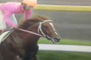 【競馬】【訃報】ミホノブルボン死去