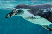 水族館?←こいつ動物園?と同格面してるけど圧倒的な差があるよな