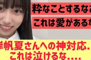 岸帆夏さんへの神対応・・・これは泣ける・・・【日向坂46】