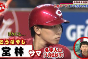 メジャーな名字なのに、プロ野球選手が全くいない名字を発見