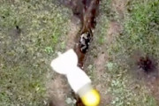 【動画】ドローン投下爆弾を拾い捨てて生き延びたロシア兵の映像。