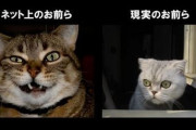 【天才】「ネットでしか辛口コメントできない人を◯◯◯◯って呼んでる」　→　あまりに的確すぎて約6万いいねｗｗｗｗｗ