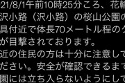 秋田と北海道で体長70メートル以上の熊の目撃相次ぐｗｗｗ