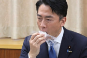 「次の首相誰がいい？」世論調査→備蓄米効果で小泉進次郎氏がトップにｗｗｗｗｗ