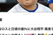 【朗報】AI界隈、大谷をAIで子供にして愛でるチビタニ動画が流行り始めてしまうwwwwwwwww