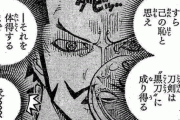 【ONEPIECE -ワンピース】ミホーク「全ての刀は黒刀になり得る」←これさぁｗｗｗｗｗ