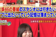 【悲報】山崎怜奈、悲しすぎる衝撃発言を連発。