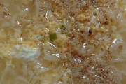 【画像】塩ラーメン作ったｗｗｗｗｗｗ