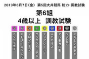 UAEダービー2着馬エピカリス屈腱炎で引退