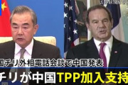 【暴露】中国とチリが外相電話会談⇒中国の王毅外相「チリが中国ＴＰＰ加入支持を表明した」5ch「残念だけど全会一致なんですよね」