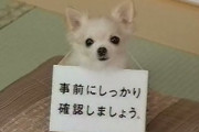 大昔のアイフルのCMで金借りて犬を衝動買いって今考えると最低な内容だよね？