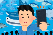 今度一人で水族館行こうと思ってるんやけど