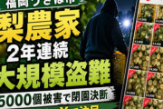 メルカリ「梨泥棒と言われる人を調査したけど盗品の梨はなかったで」X探偵団大敗北へ・・・