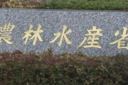 農水省「日本の農産物が中国や韓国に盗まれないように法改正します」