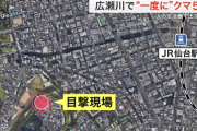 【注意喚起】クマ、ついに都会に侵略開始　仙台駅からわずか3キロの範囲にクマ5頭が同時に出現