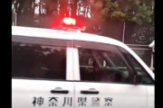 【動画】全裸男性、警官に取り押さえられ逮捕されてしまう