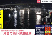 【緊急速報】津波、実際に観測。まもなく到達確定。今すぐ高台に逃げて