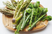 【朗報】山菜の中で○○だけ異常にうまいｗｗｗｗｗｗｗｗｗｗｗｗ