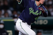 澤井廉(ヤクルト) 打率.272 16本 42打点 OPS.923←これ