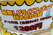 【悲報】フィギュアの福袋買ったんだけど誰だかわからない（※画像あり）