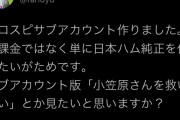 【朗報】ダルビッシュ プロスピAのサブ垢を作成
