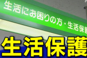 ナマポ民「飯食ってゲームしてるだけで１年過ぎたけど全然こういう人生でいい」「たまに虚無感に襲われるけど、働く苦痛を味わうよりマシ」