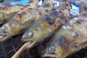 生焼けの川魚を食べて10分