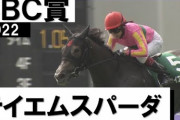 馬が強ければ今村聖奈ちゃんですら圧勝できる競馬ってスポーツと言えるの？