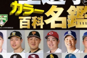 【悲報】球団の顔が監督のチームが誕生してしまう