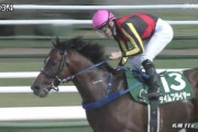17年ホープフルＳ勝ち馬タイムフライヤーが川崎競馬へ移籍……所有サンデーＲ発表