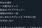 【悲報】「手取り14万」女子の生活、悲惨すぎるｗｗｗｗ