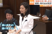 【無双状態】維新・梅村みずほ議員「ハンスト」発言で波紋→遺族「デマだ」→議員「撤回と謝罪は致しません。よろしくお願いします。」