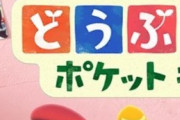 【ポケ森】エラーが発生しました。アプリの再起動を行ってくださいと出て進めない【どうぶつの森 まとめ】