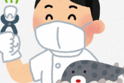 【10万再生】歯が伸びすぎてしまった『フグ』の歯を半分に切断する手術が行われる（動画あり）