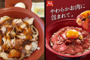 【画像】Twitter民「すき家で新作注文したらこんなの出てきた😭」